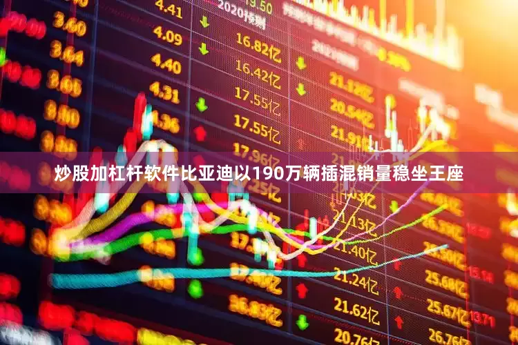 炒股加杠杆软件比亚迪以190万辆插混销量稳坐王座